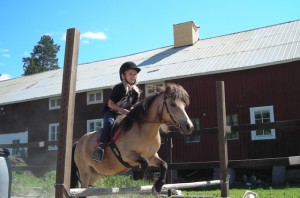 hopp
